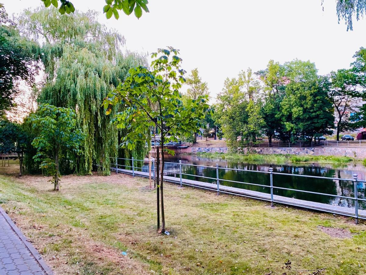 Rodzinny Apartament Platany Centrum 코워브제크 외부 사진